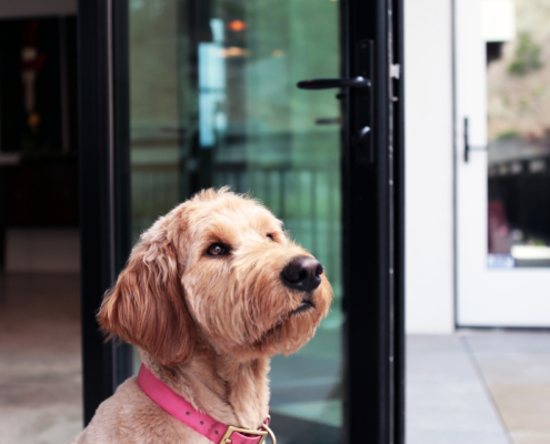 FSDC Product Photography