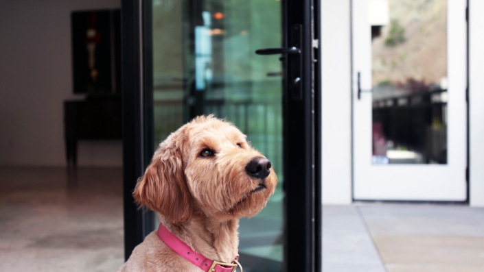 FSDC Product Photography